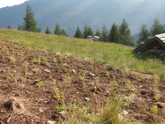 Foto5